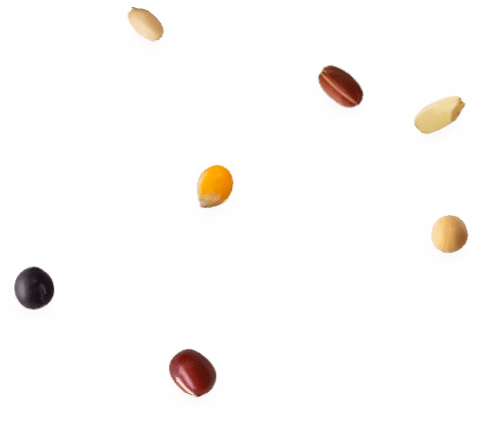 KOKUU